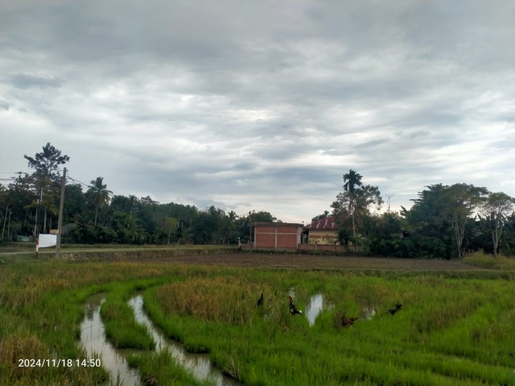 Gambar perbatasan sebelah timur gampong Lamsiot 